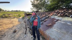 ¡Ma’ena! Liquidaron a caballo que laburaba con su dueño olero