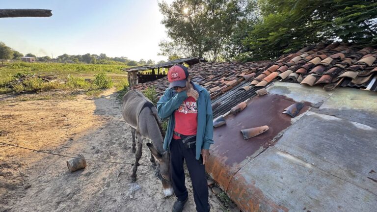 ¡Ma’ena! Liquidaron a caballo que laburaba con su dueño olero