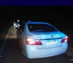 “Piratas del asfalto” roban 210 palos, producto de la venta de oro