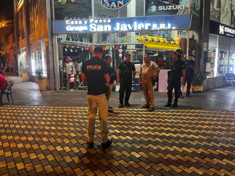 Roban 50 palos en asalto a cambista en circuito comercial de Encarnación