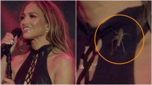 (VIDEO) ¡Jennifer Lopez fue apurada por un grillo en pleno concierto!