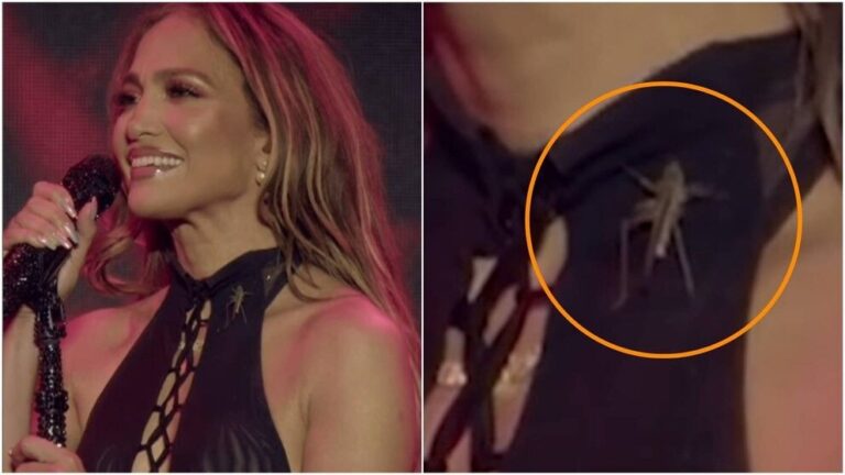 (VIDEO) ¡Jennifer Lopez fue apurada por un grillo en pleno concierto!
