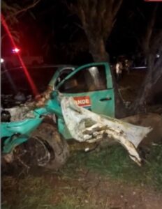 Caballo ocasionó vario accidente