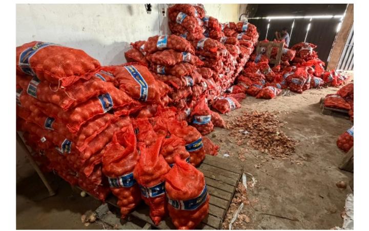 DNIT incautó casi 13 mil kilos de cebolla y papa