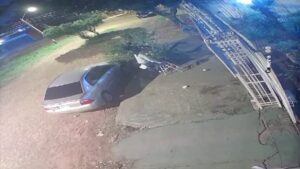 (VIDEO) ¡Quiso bajar un pomelo y terminó aplastada por el árbol!
