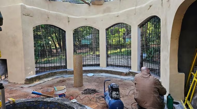 Ojejapo mejoras en el Zoológico para que animales no pasen frío