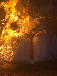 Duro golpe: Ojehapy 2 toneladas y media de macoña