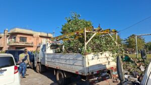 (GALERÍA) ¡Pillan a otros dos puercazos tirando basural en plena calle!