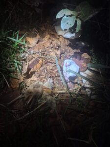 Ojetopa restos óseos y ataúd tujakue tapepe