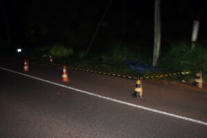 Padre e hijo ñandereja en Saltos del Guairá