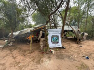 Localizan varias hectáreas de macoña en estancia