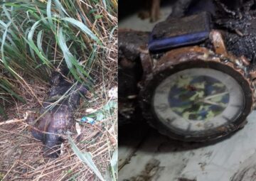 Ojetopa te’ongue calcinado y reloj podría ayudar a identificarlo